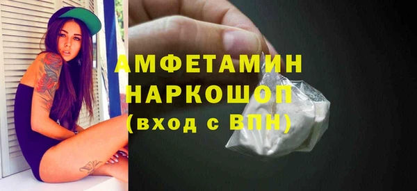 твердый Инсар