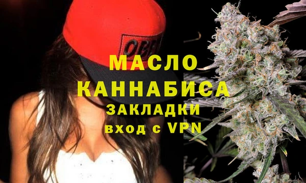 твердый Инсар
