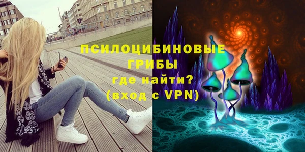 твердый Инсар