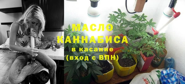 твердый Инсар