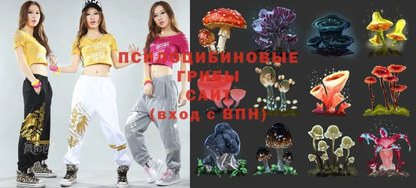 твердый Инсар