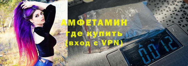 твердый Инсар