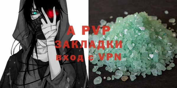 твердый Инсар
