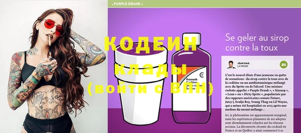 твердый Инсар